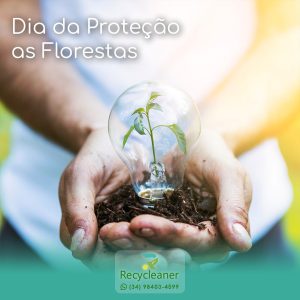 Dia de Proteção às Florestas